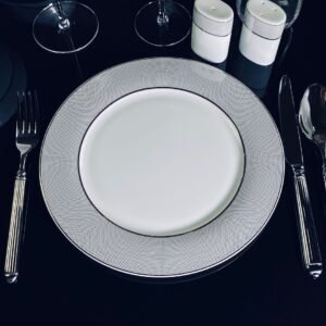 145-521 Набор из 6 тарелок 27см СЕРЕБРЯНАЯ СИМФОНИЯ  в под.уп.(х5)Костяной фарфор